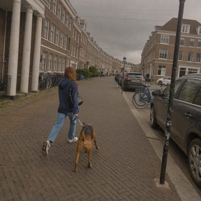 Sanne